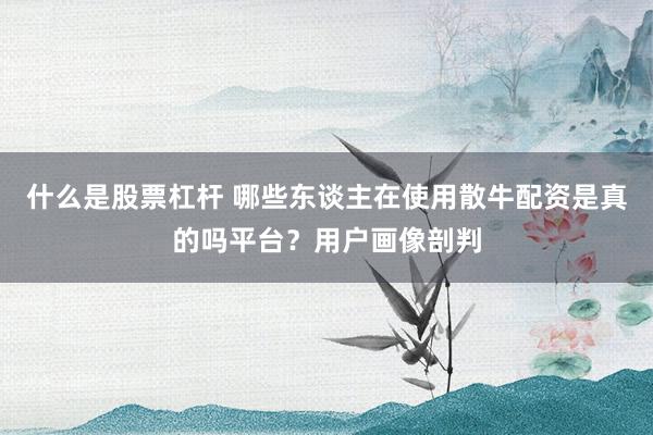 什么是股票杠杆 哪些东谈主在使用散牛配资是真的吗平台？用户画像剖判