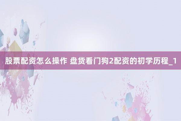 股票配资怎么操作 盘货看门狗2配资的初学历程_1